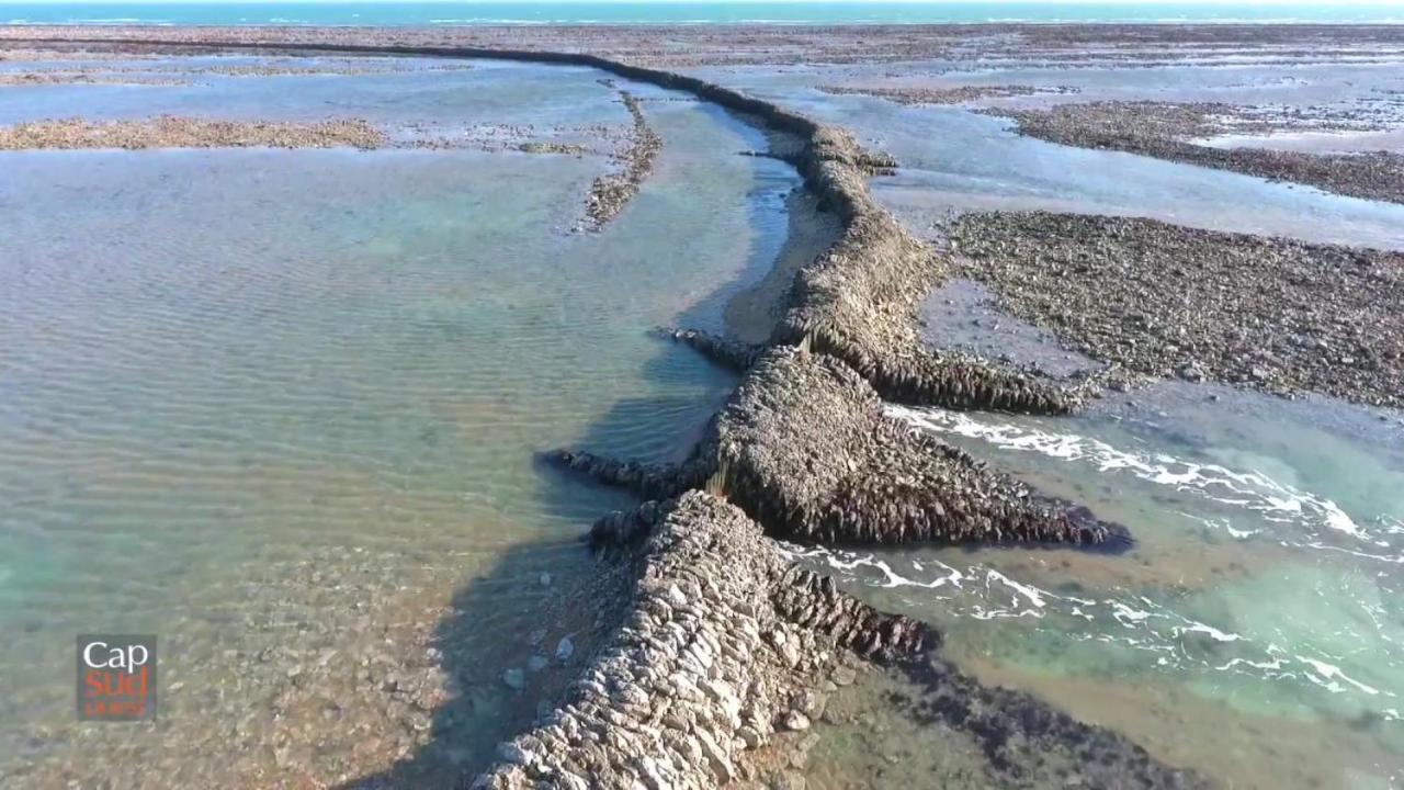 Les Pieds Dans L'Eau Acces Direct A La Plage La Cotiniere Exterior photo