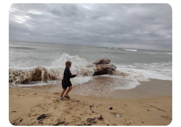 Les Pieds Dans L'Eau Acces Direct A La Plage La Cotiniere Exterior photo