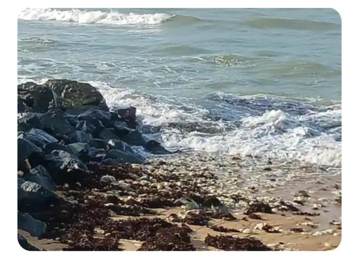 Les Pieds Dans L'Eau Acces Direct A La Plage La Cotiniere Exterior photo