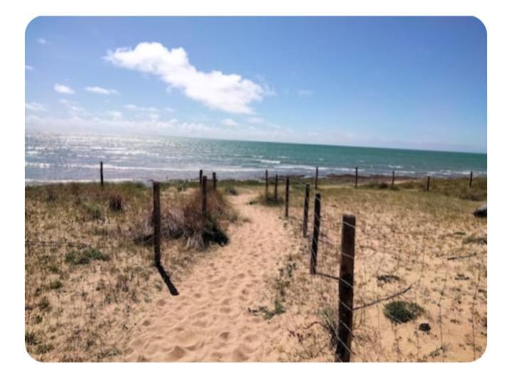 Les Pieds Dans L'Eau Acces Direct A La Plage La Cotiniere Exterior photo